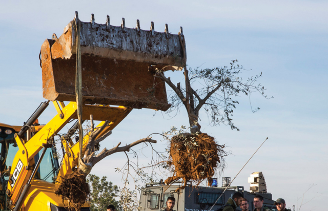 A call from Palestine to the Global Climate Justice Movements: Ending #GazaGenocide is a Climate Issue