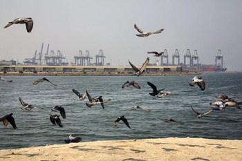 Missile Hit Causes Fire on Chemical Tanker in Red Sea – Reports