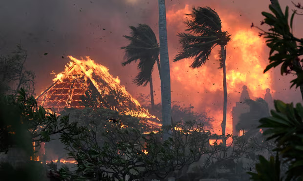 Earth’s ‘vital signs’ worse than at any time in human history, scientists warn