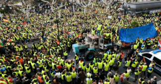 ‘They’re drowning us in regulations’: how Europe’s furious farmers took on Brussels and won