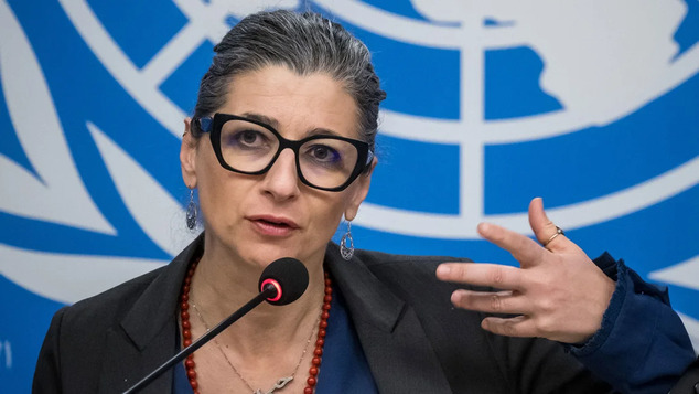 ‘Reasonable grounds’ to believe Israel is committing genocide in Gaza, UN rights expert says