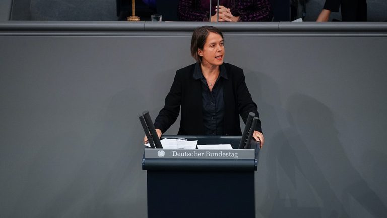 Interview: Die Linke’s crisis and the German far left