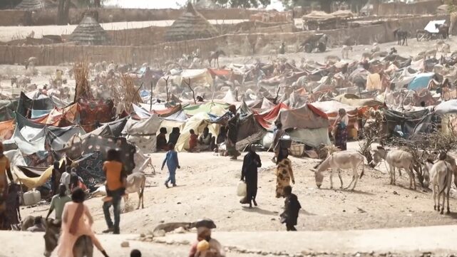15 Arab and African countries sound the alarm on the risks of famine in Sudan