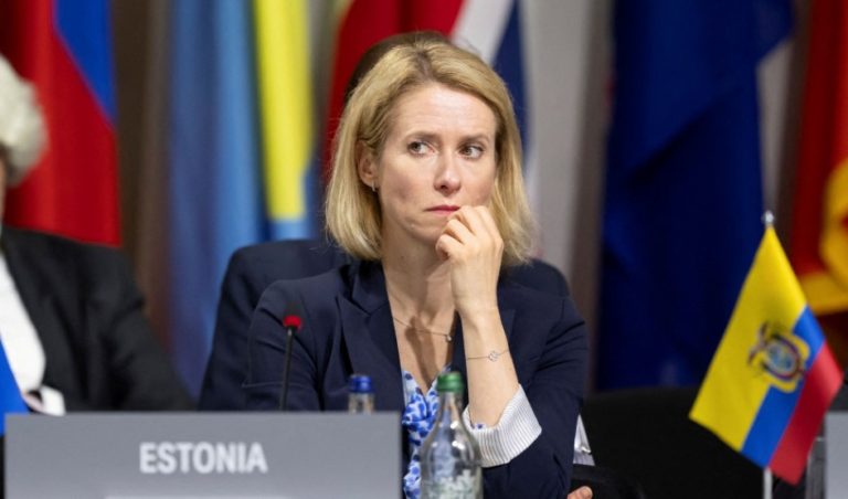 Greek MEP Challenges EU’s Stance on Turkey in Closed-Door Briefing
