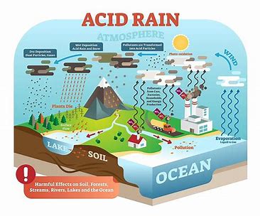 US could see return of acid rain due to Trump’s rollbacks, says scientist who discovered it