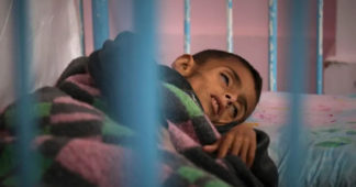80 years after its defeat, Nazism is back. The dead are envied in Palestine