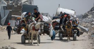 Two million people at risk of impending famine in Gaza, WHO chief warns