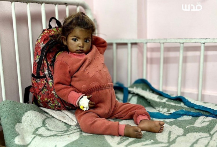 Hunger, Malnutrition ‘a Daily Reality’ for Gaza’s Children amid Risk of Famine – UNICEF