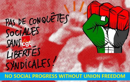 Norman Finkelstein’s Letter in Support of Salah, Expelled from the CGT Union for Gaza Solidarity