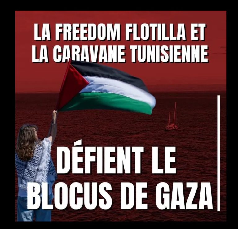 Des Algériens et des Tunisiens en route vers Gaza, des milliers de km pour casser le blocus