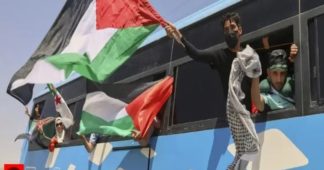 Egypt detains over 200 pro-Palestinian activists ahead of Gaza march: organisers