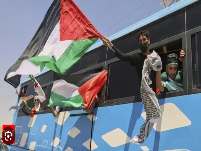 Egypt detains over 200 pro-Palestinian activists ahead of Gaza march: organisers