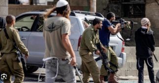 West Bank settler attacks reach 20-year high, over 220 Palestinians injured in 2025