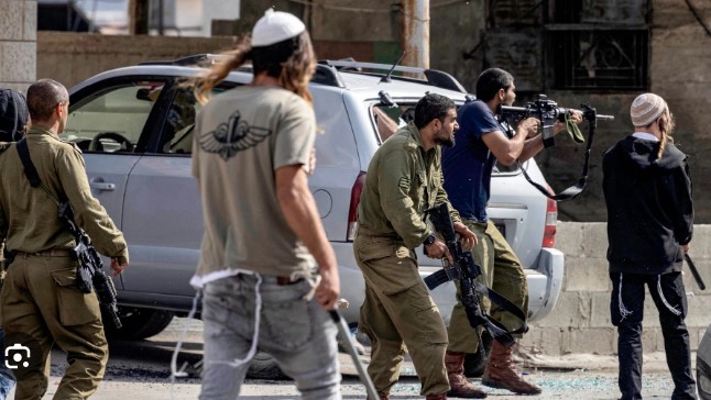 West Bank settler attacks reach 20-year high, over 220 Palestinians injured in 2025