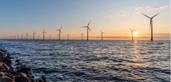 Offshore wind in the Mediterranean: renewables can, and must, protect biodiversity – here’s how
