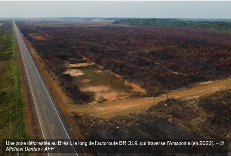 Brésil : les députés votent un « coup mortel » pour l’environnement