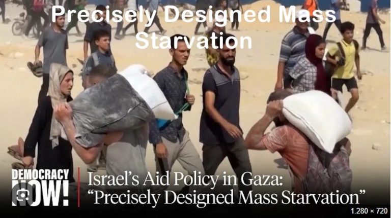 “Precisely Designed Mass Starvation”: Aid Access as Weapon in Israel’s War on Gaza, Researchers Find