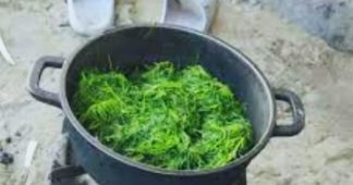 ‘Parents are boiling tree leaves to feed their children’ ‘Parents are boiling tree leaves to feed their children’