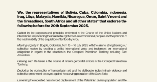 Joint Statement on the Conclusion of the Emergency Conference on Palestine