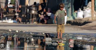 Contaminated Water, Malnutrition Drive Guillain-Barré Outbreak in Gaza