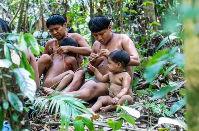 Missionaries using secret audio devices to evangelise Brazil’s isolated peoples