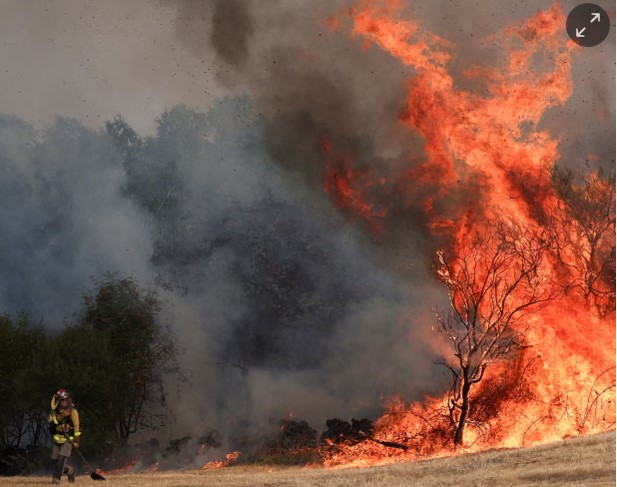 Spain wildfires are ‘clear warning’ of climate emergency, minister says