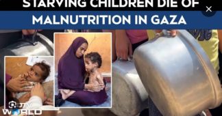 ‘We’re going mad because of hunger!”- on the ground in starving Gaza