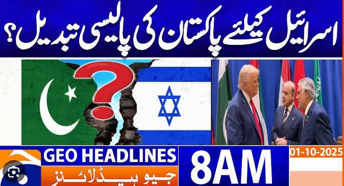 Pakistan doesn’t back all of Trump’s peace plan, says its UN representative