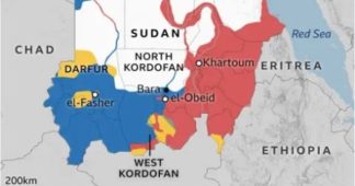 Sudanese citizens tell of unbearable hunger in RSF-besieged areas