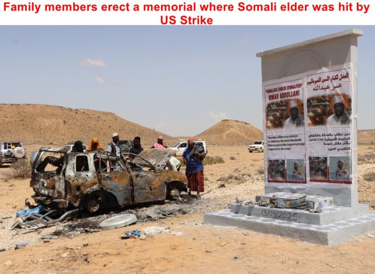 US Launches 82nd Airstrike of the Year in Somalia