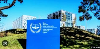 IS INTERNATIONAL CRIMINAL JUSTICE FEASIBLE AND DESIRABLE TODAY?