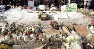 Where the Sidewalk Ends, the Lies Begin: On the Execution of Alex Pretti