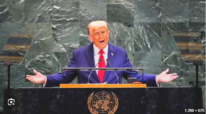 Don’t blame the UN for the world’s problems