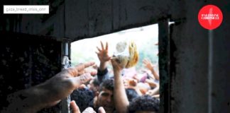 ‘Complete Collapse’ Looms – Gaza’s Bread System on the Brink as Flour Vanishes
