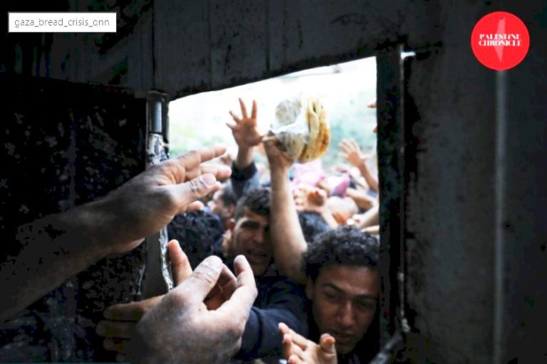 ‘Complete Collapse’ Looms – Gaza’s Bread System on the Brink as Flour Vanishes