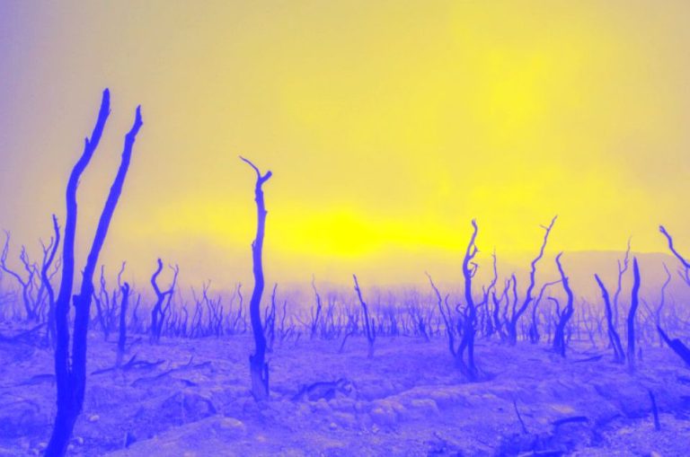 A new reign of climate chaos