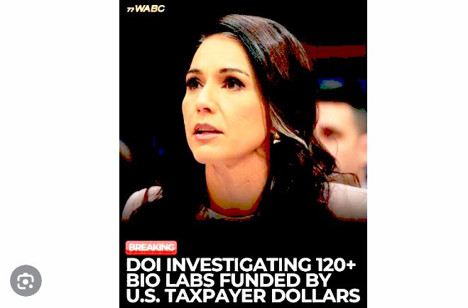 Gabbard Releases Biolab Records Years After Disinformation Accusations