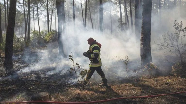 Marseille l’année dernière, Fontainebleau, Arcachon, la Drôme et les Écrins cette année : la France brûle sous l’incendie de l’austérité de l’Union européenne