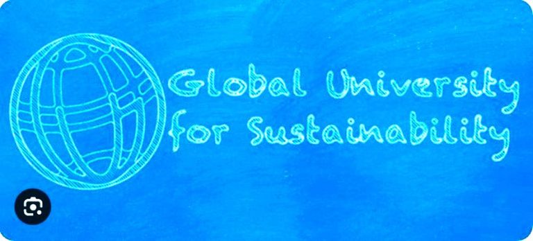 LAUNCH: Delinking for Self-Determination and Solidarity – Join Us September 26